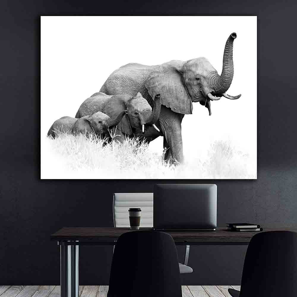 Tablou Canvas - Trei elefanti