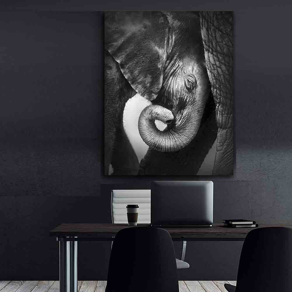 Tableau sur toile - Petit éléphant noir et blanc