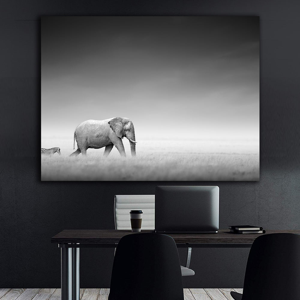 Tablou Canvas - Animale Alb Negru