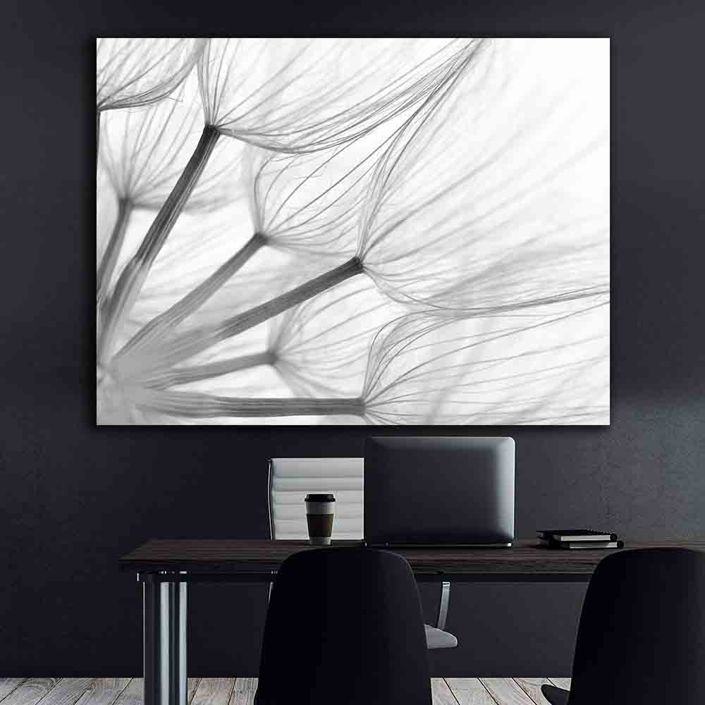 Tablou Canvas - Papadie alb-negru