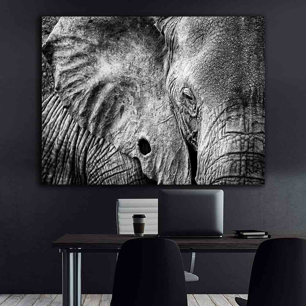 Tablou Canvas - Elefant alb-negru