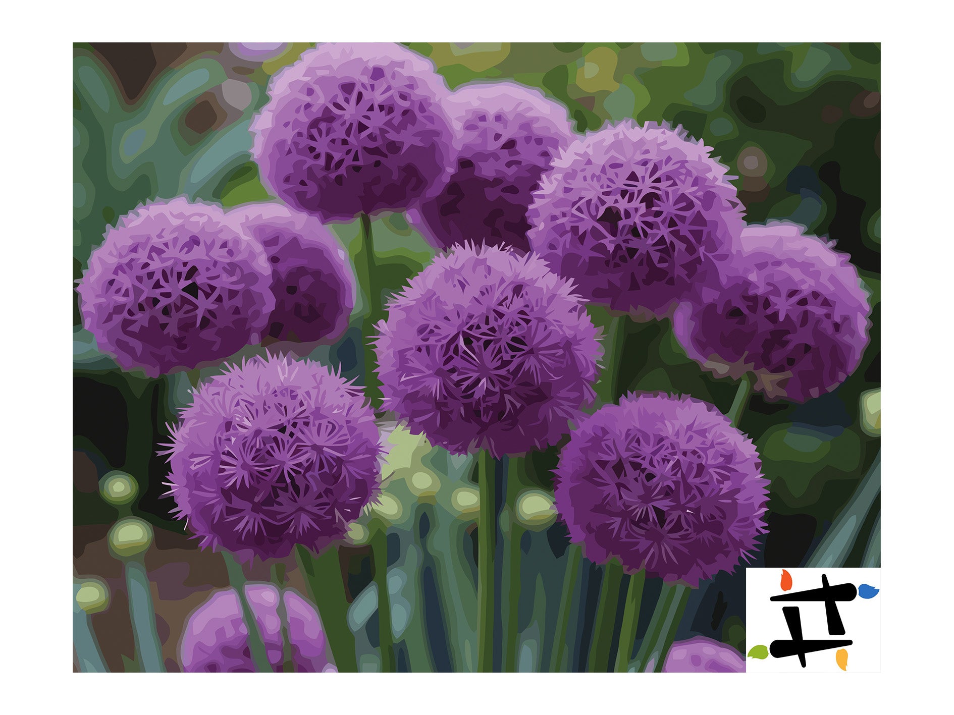 Pictura pe Numere – Sfere de Allium 6865