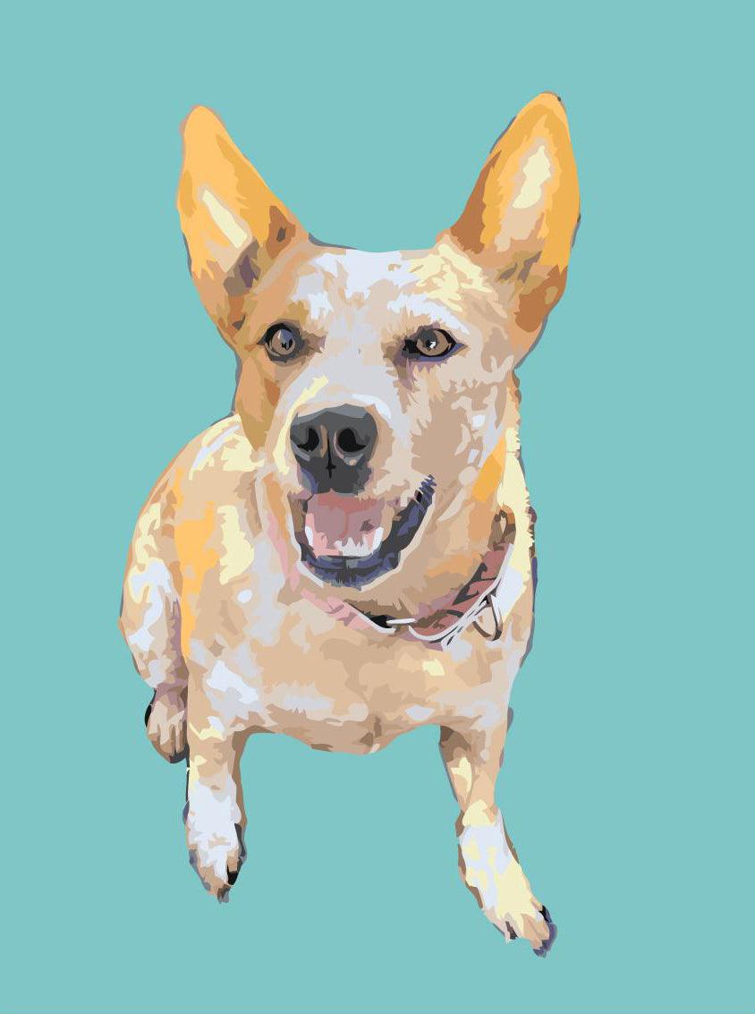 5f9c96a87c81e5f104cfcdc557bff9fe