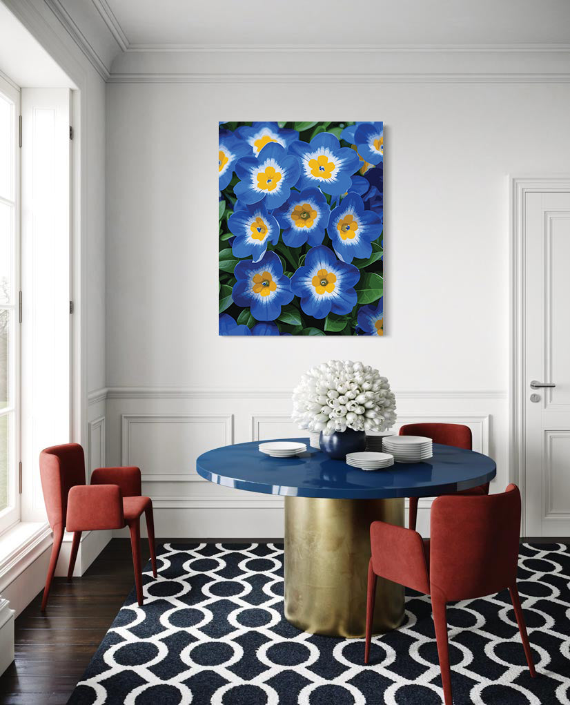 Pictura pe Numere – Priviri de safir 7109