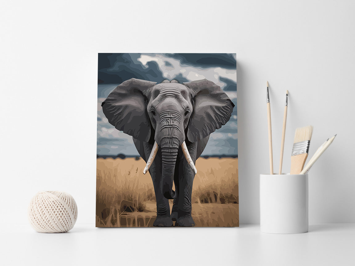 Pictura pe Numere – Elefant sub cerul savanei 7413