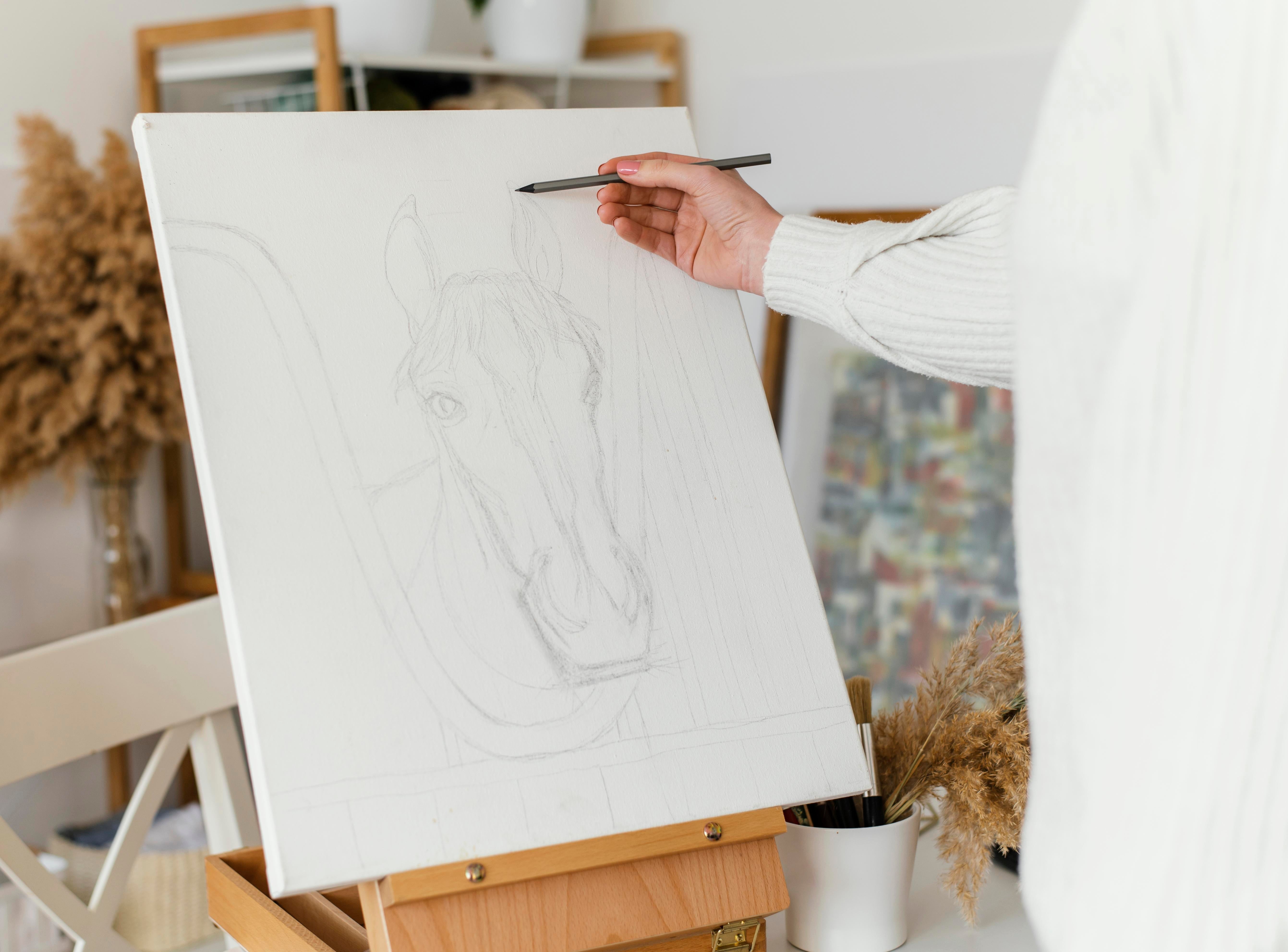 Panza Pictura (pe Sasiu)