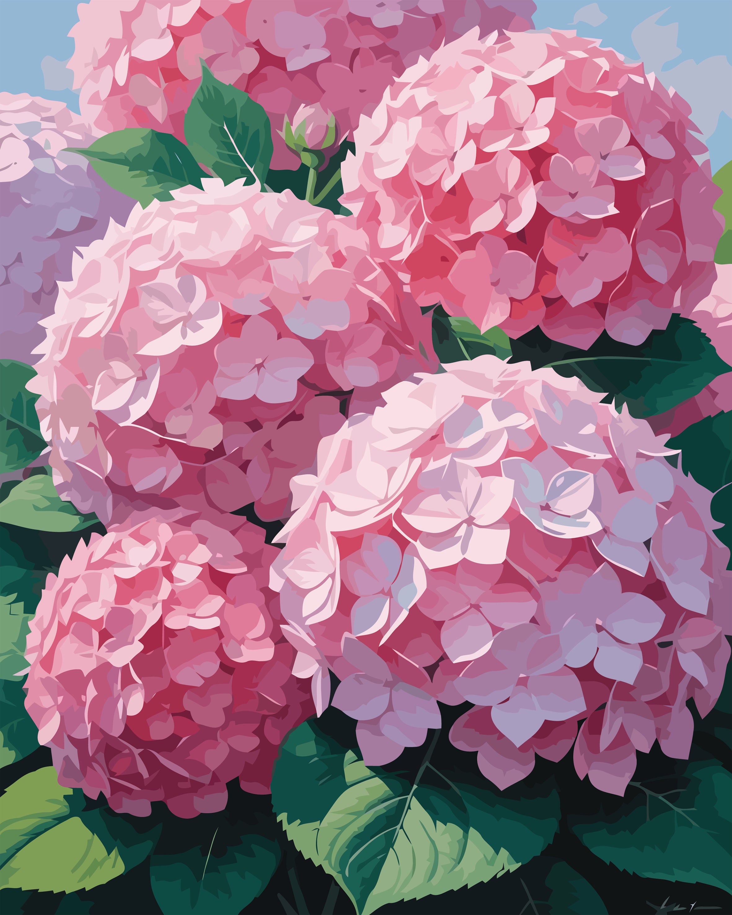 Pictura pe Numere – Imbratisare de hortensii roz 6999