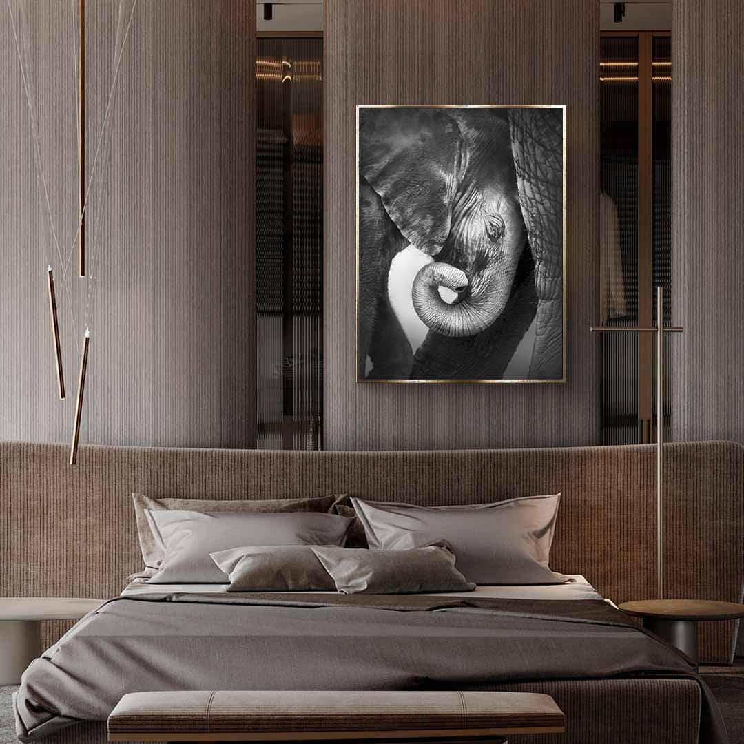 Tablou Canvas - Elefantul mic alb-negru
