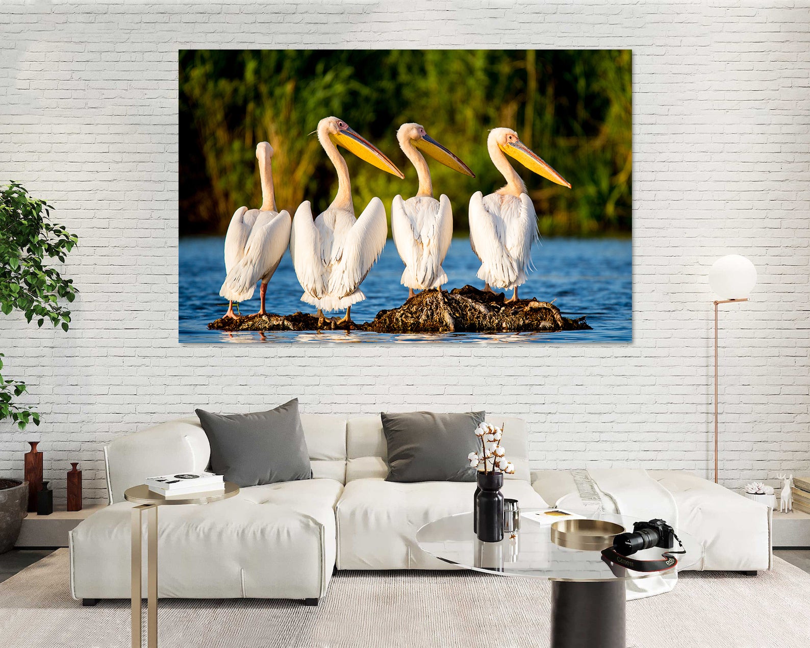 Tablou Canvas - Pelicani la Delta Dunării