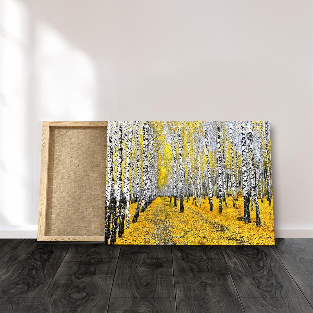 Tablou Canvas - Padure de mesteceni toamna