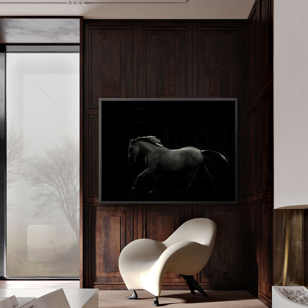 Tablou Canvas - Armăsar Alb Negru