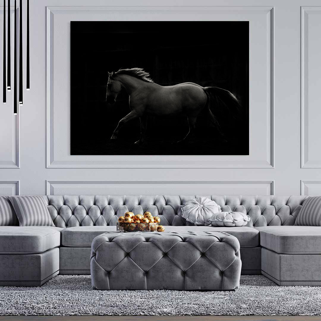 Tablou Canvas - Armăsar Alb Negru