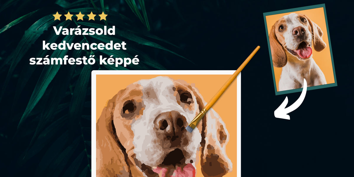 pet_d_hu