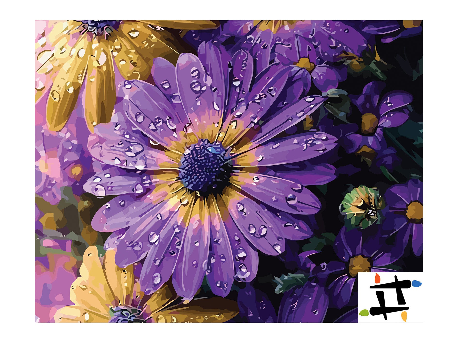Pictura pe Numere – Margarete africane 7291
