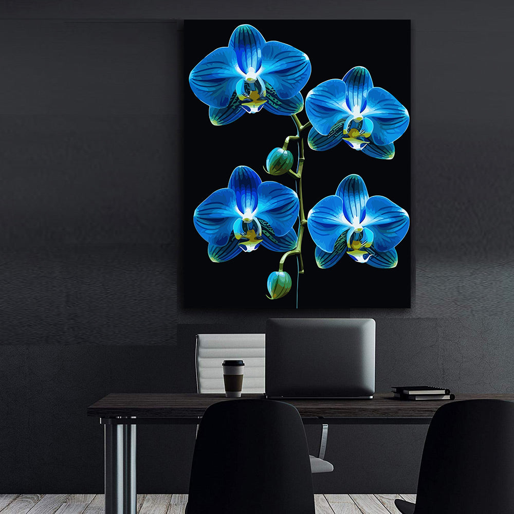 Pictura pe Numere – Enigma in azur 6725