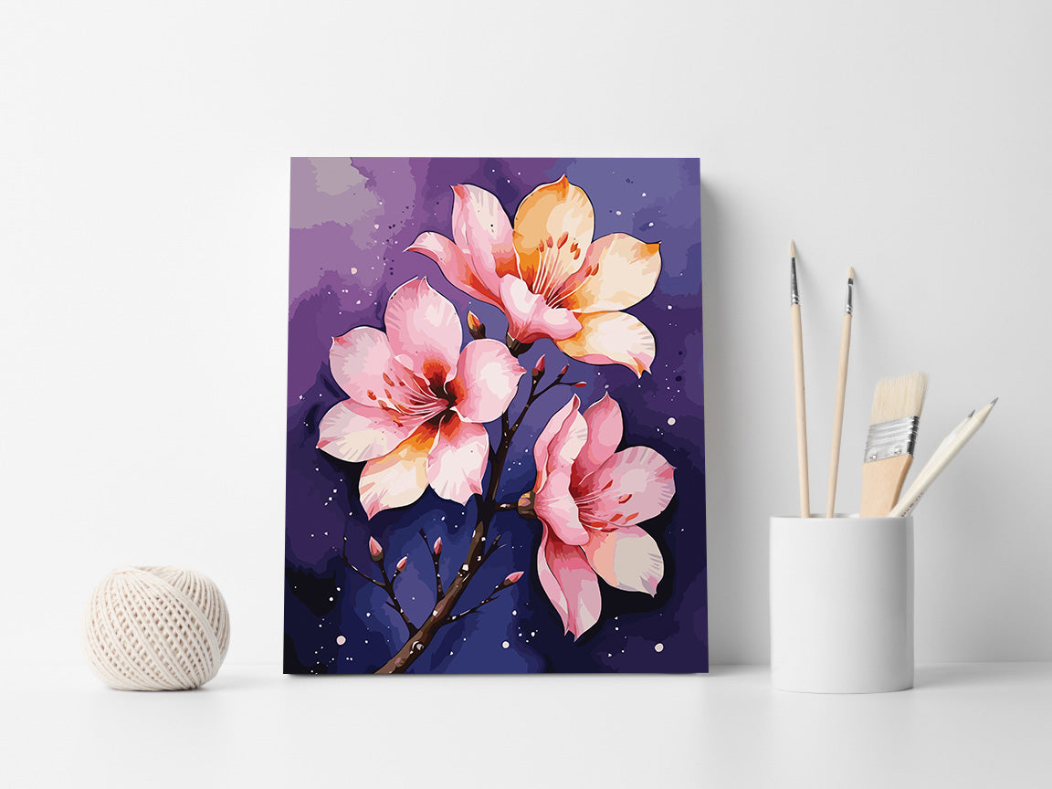 Pictura pe Numere – Sclipiri nocturne 7055