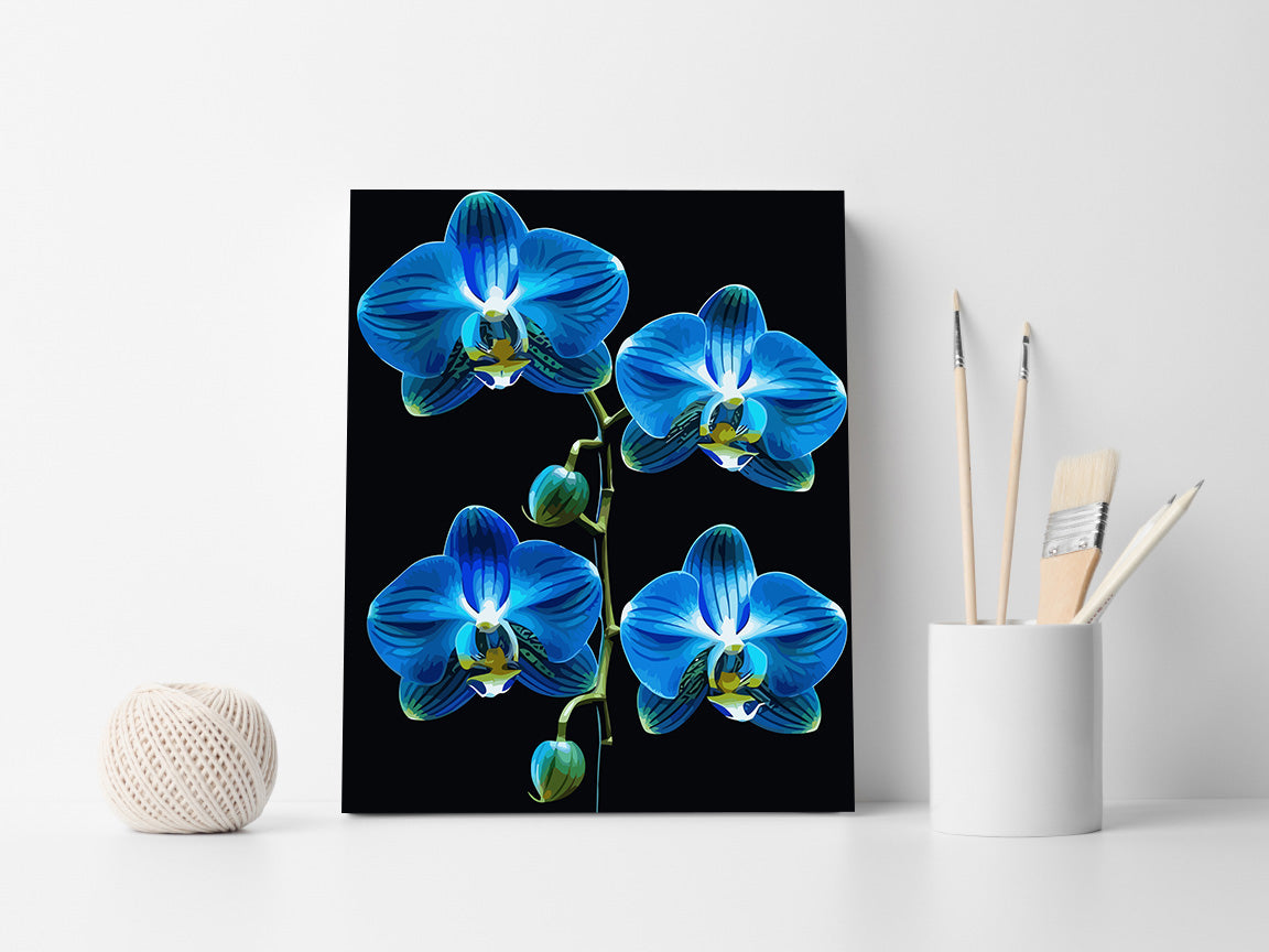 Pictura pe Numere – Enigma in azur 6725